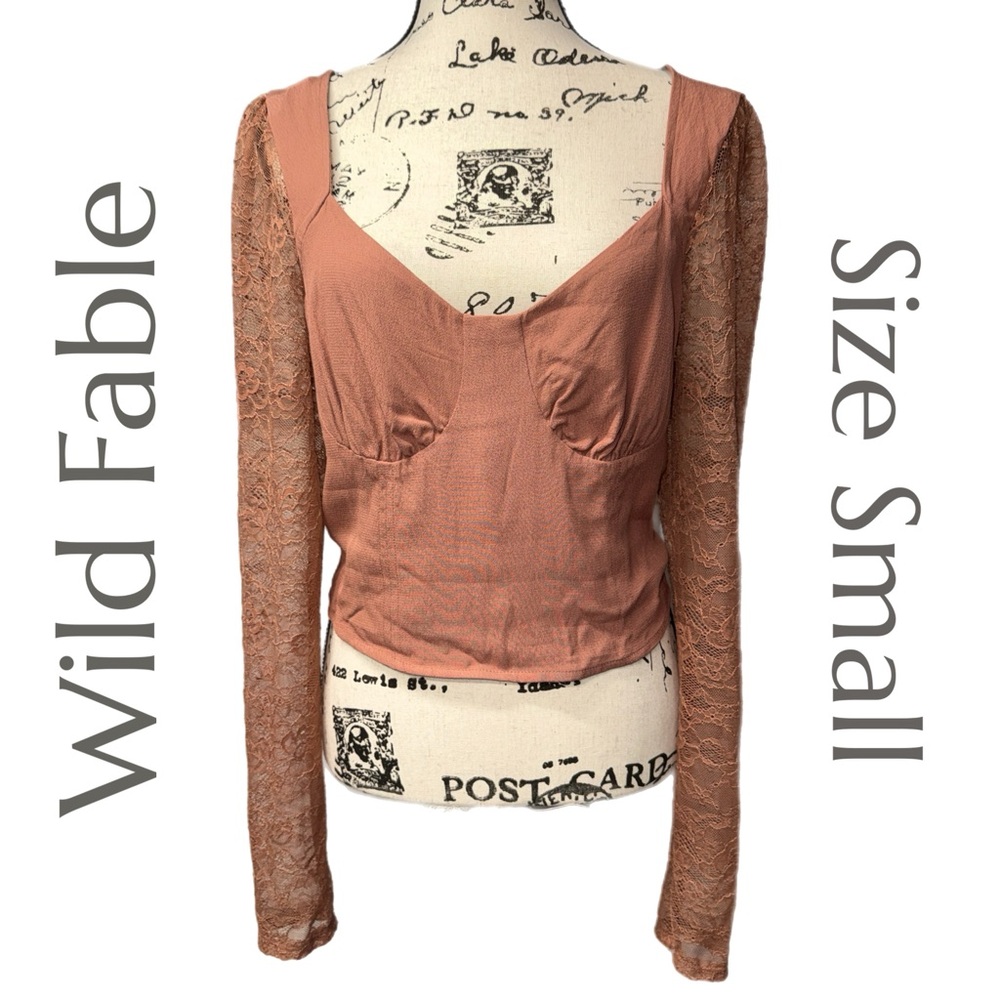 Wild Fable - Blush Lace Sleeve Smocked Blouse - Size Small
